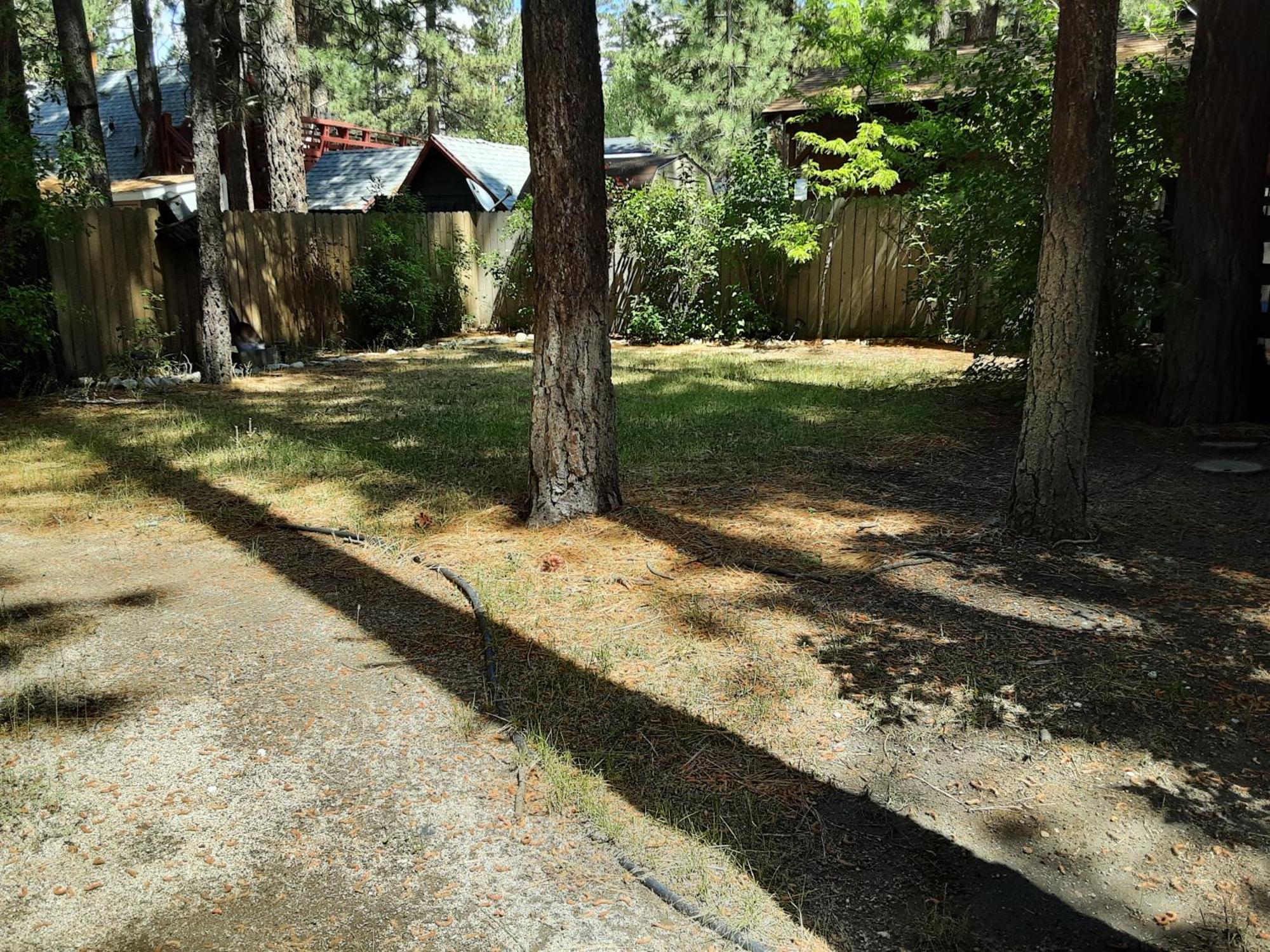 Bearadise - Prime Location For A Family Getaway In The Winter Or Summer Big Bear City Exterior photo